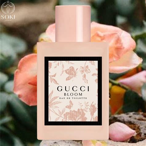 gucci bloom parfumdreams|Gucci Bloom perfume collection.